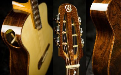 Slotted Headstock Steel string (Brazilian & Snakewood)