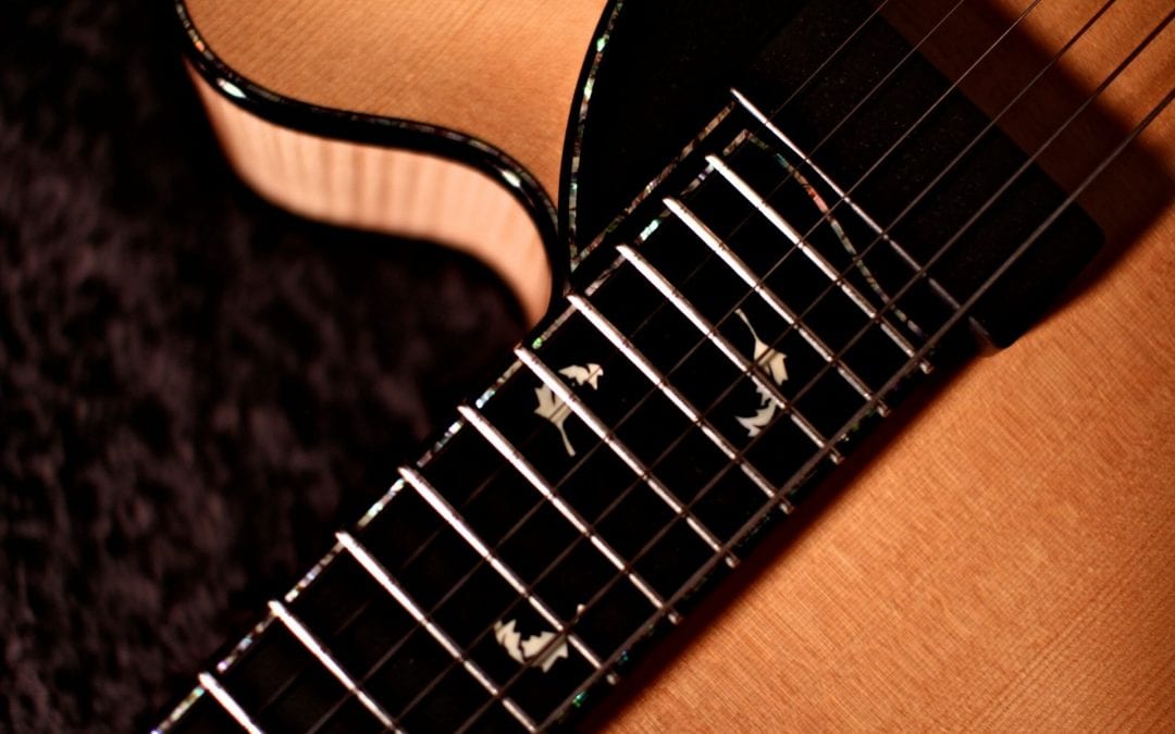 Natura Elite 16 Inch Archtop Guitar