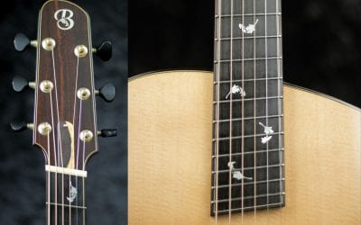 Understanding Fanned Fret Guitars And Scale Length